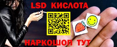 прущие грибы Заволжье