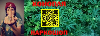 прущие грибы Заволжье