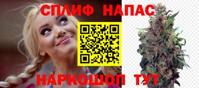 прущие грибы Заволжье