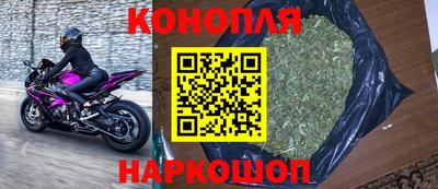 прущие грибы Заволжье