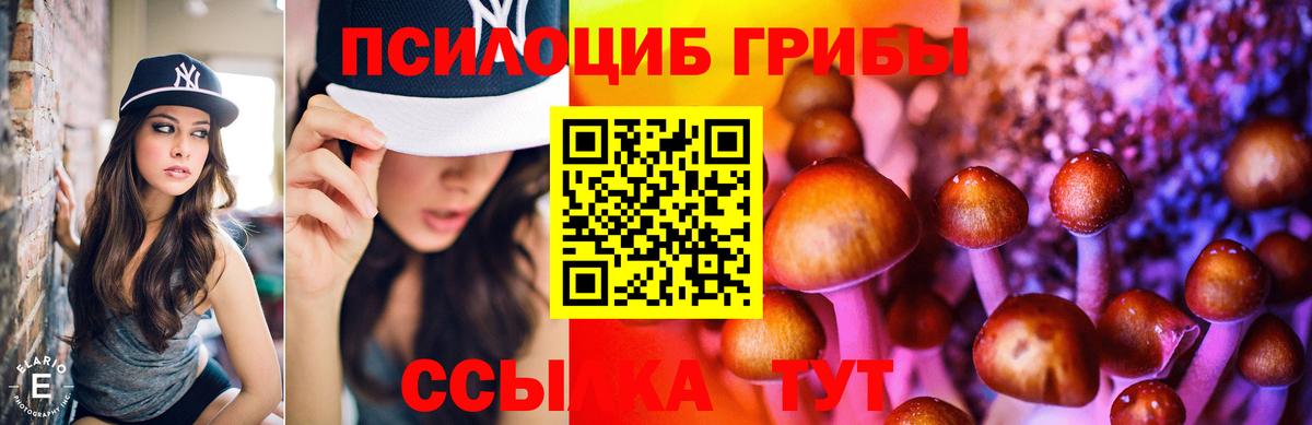 Галлюциногенные грибы прущие грибы Луховицы